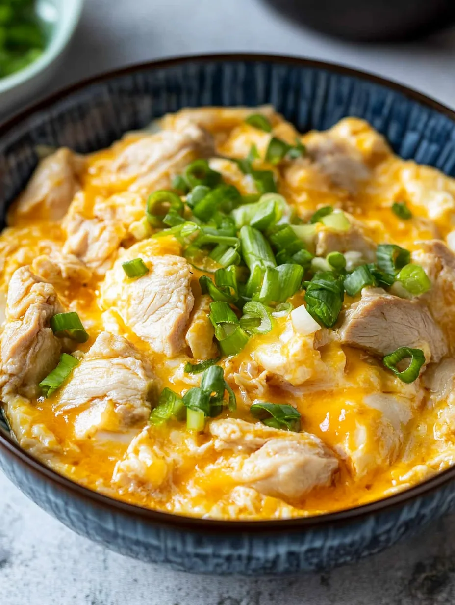 A bowl of chicken soup with green onions.